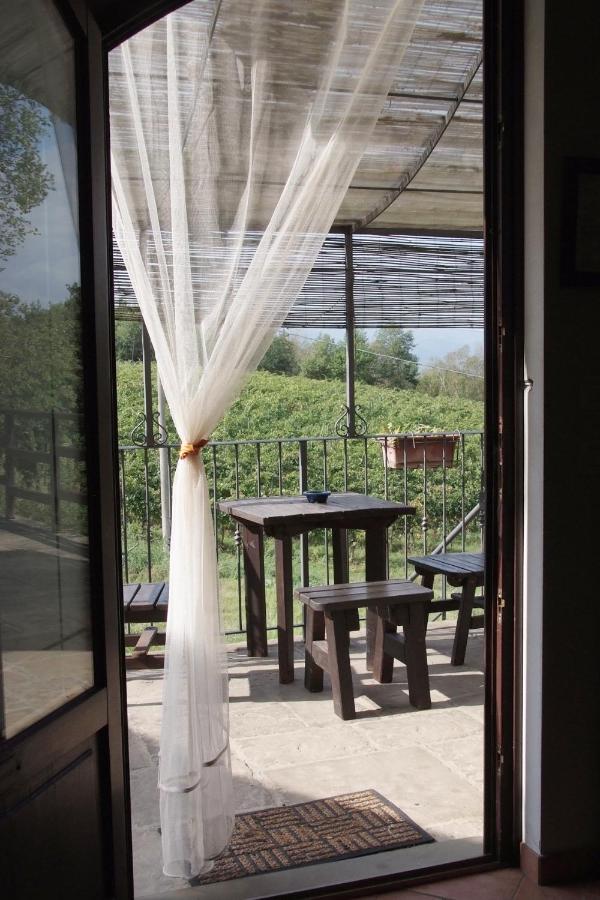 Il Pino Bioagricoltura Villa Terranuova Bracciolini Kültér fotó